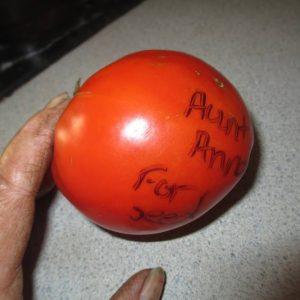 Aunt Anna Currently out of stock
