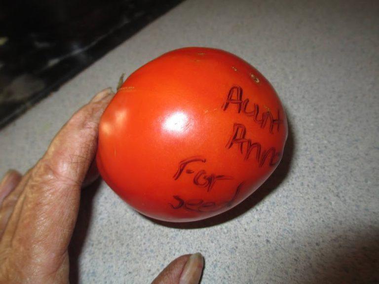 Aunt Anna Currently out of stock