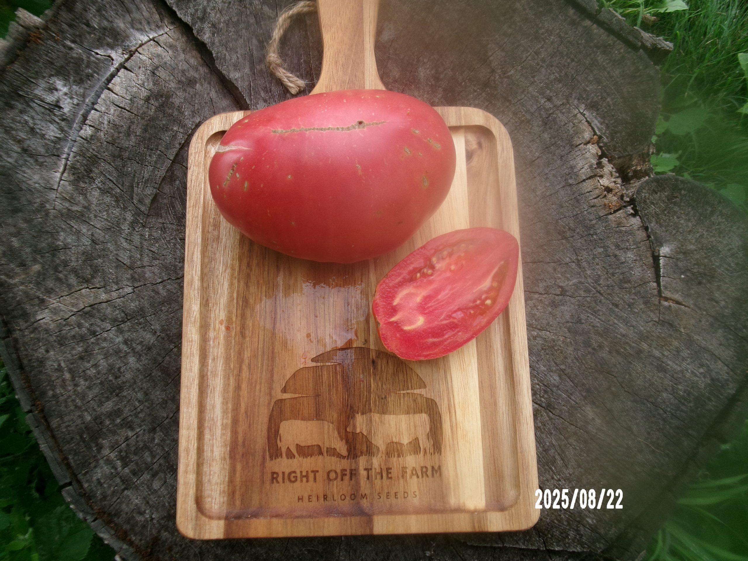 Cour di Eupilio Pink