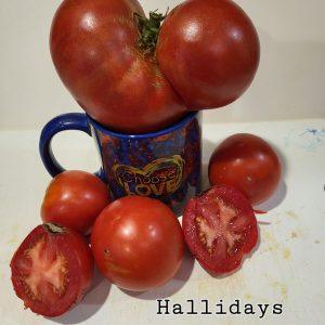 Halliday's Mortgage Lifter