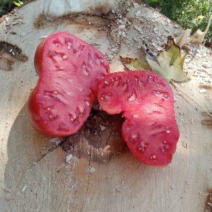 Homer's German Oxheart