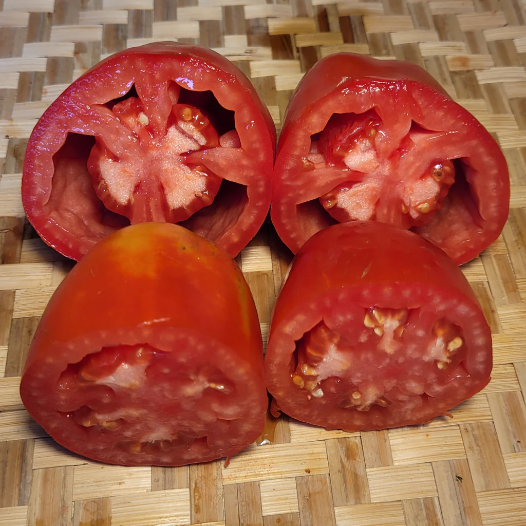 Inciardi Paste Tomato (paste)