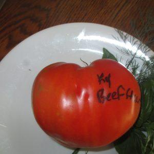 Kentucky Beefheart