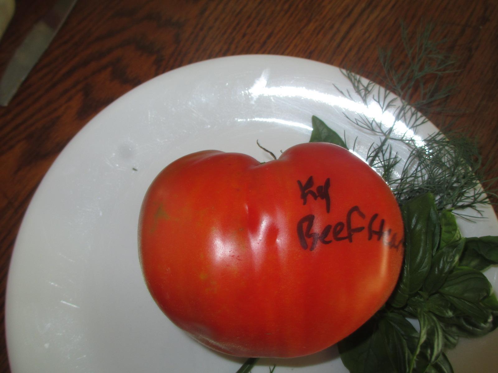 Kentucky Beefheart