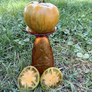 Kozula 179 Zebra Zolta