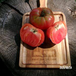 Plaine Di Chair ( Full of Flesh)