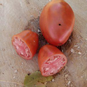 Red dumpling Winner pink (paste)