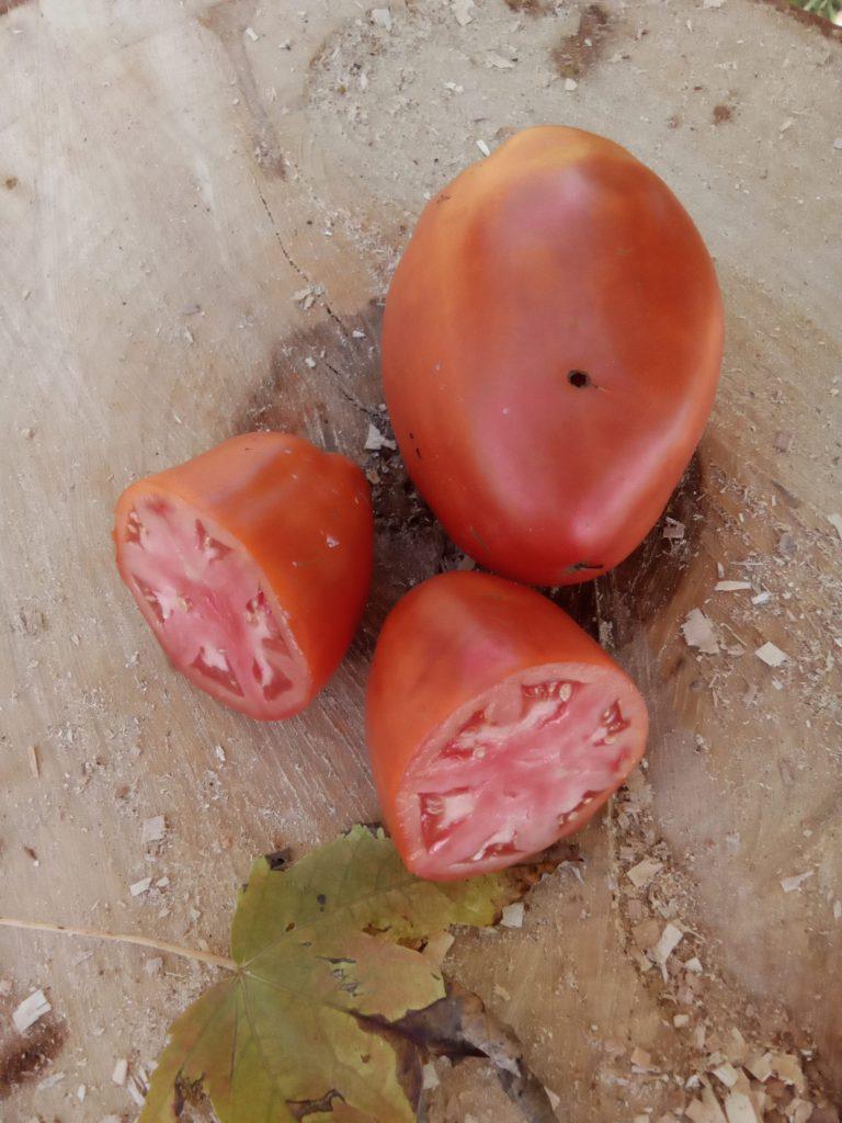 Red dumpling Winner pink (paste)