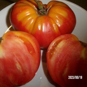 Anzelena Giagante Ukranskaya