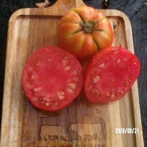 Costoluto Colli Euganei