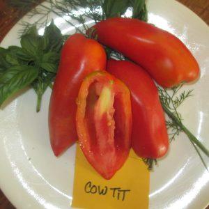 Cow's tit ( paste)