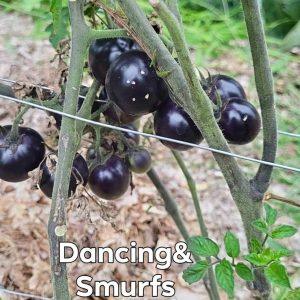 Dancing with Smurfs
