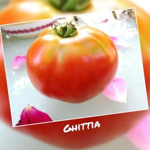 Ghitta