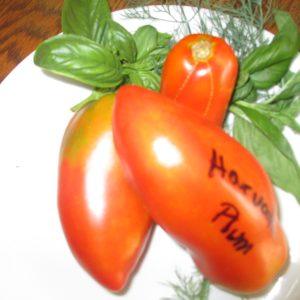 Harvath Plum (Paste)