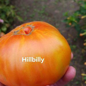 Hillbilly