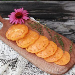 Maylor Roth's Orange