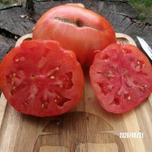 Tennessee Heirloom