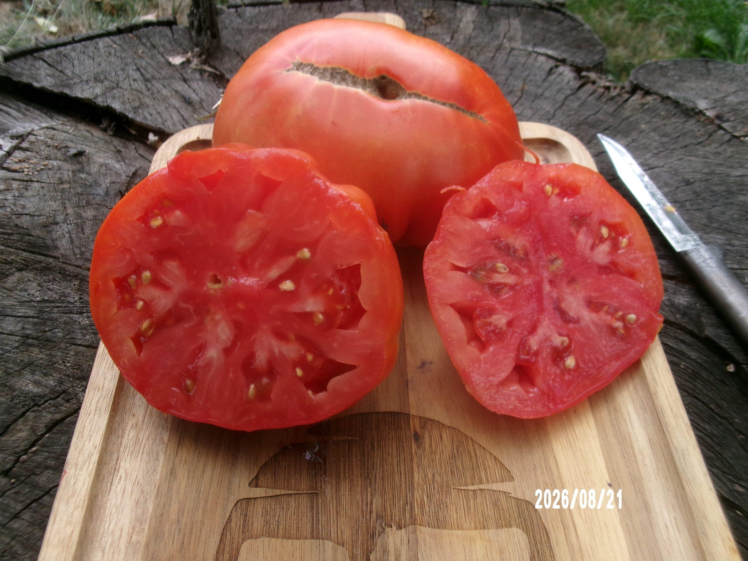 Tennessee Heirloom