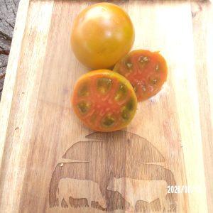 Tupelo Honey