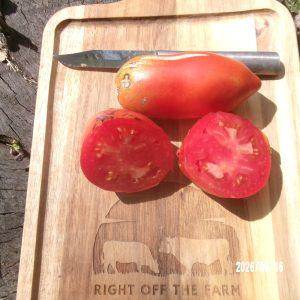 Uncle Steve's Italian Plum