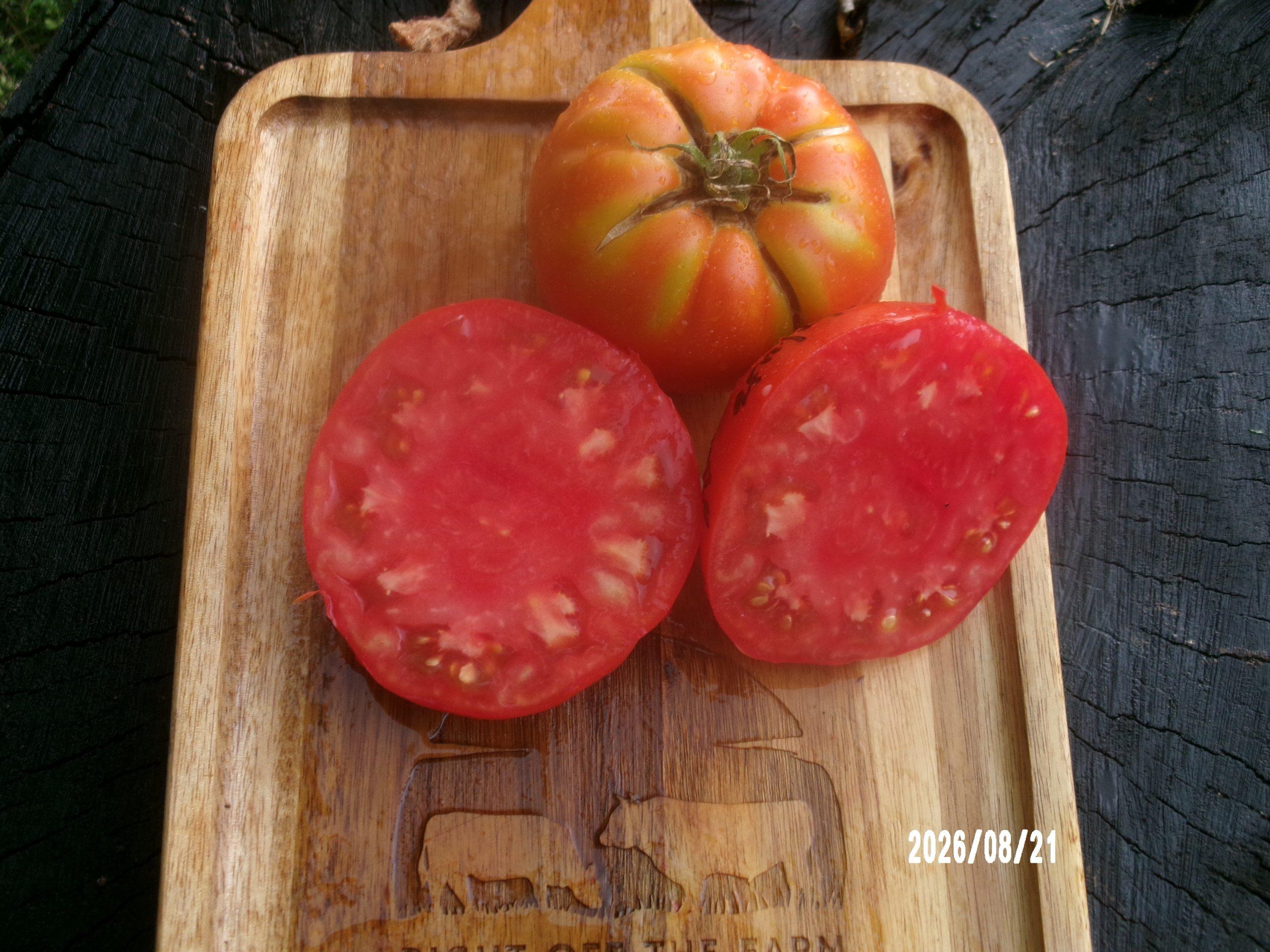Costoluto de Castellamonte