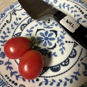 Watkin's Hoglot